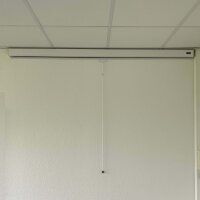 Celexon Leinwand Rollo 200 x 200 cm Wandmontage